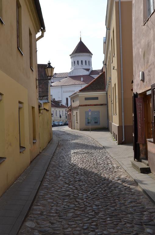 Sofijos Studio Old Town Apartment Vilnius Ngoại thất bức ảnh
