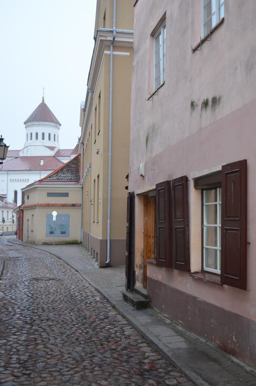 Sofijos Studio Old Town Apartment Vilnius Ngoại thất bức ảnh